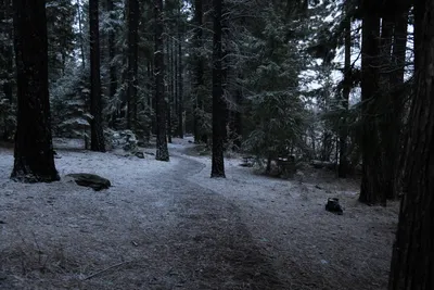 DSC_5827 (Large).JPG